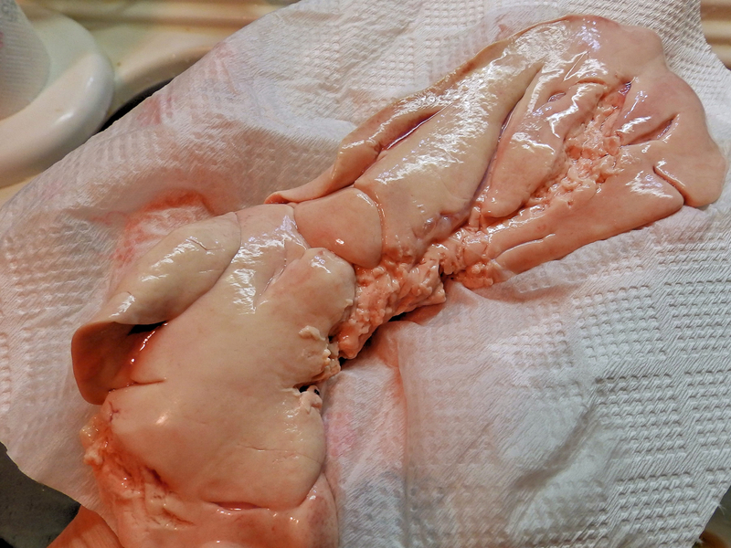 f:id:garadanikki:20211103123103j:plain