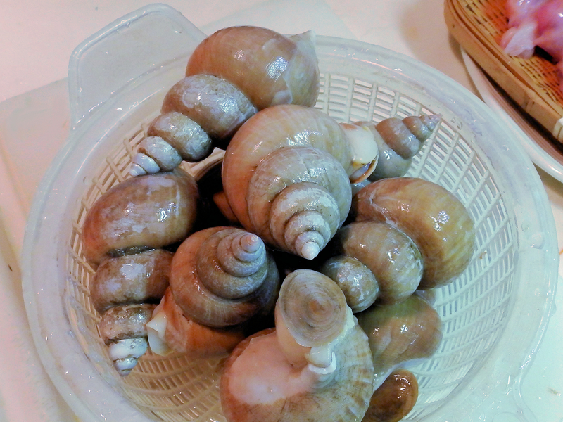 f:id:garadanikki:20211103124352j:plain