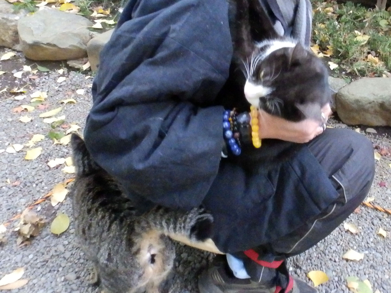 f:id:garadanikki:20211127133604j:plain