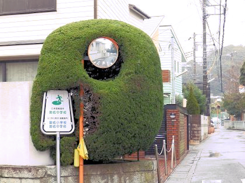 f:id:garadanikki:20211203133414j:plain