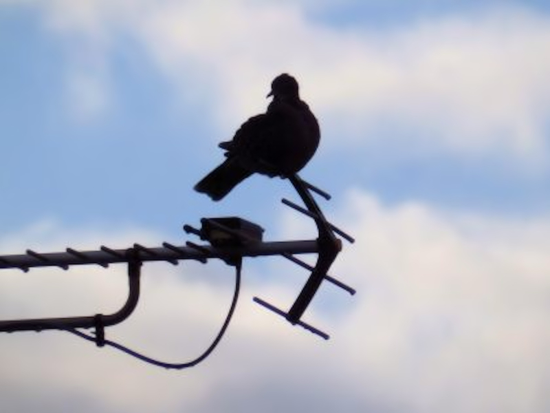 f:id:garadanikki:20211203153058j:plain