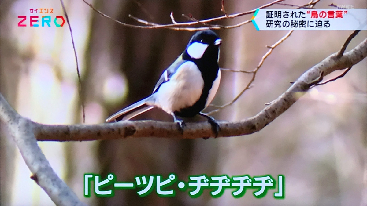 f:id:garadanikki:20211206141818j:plain