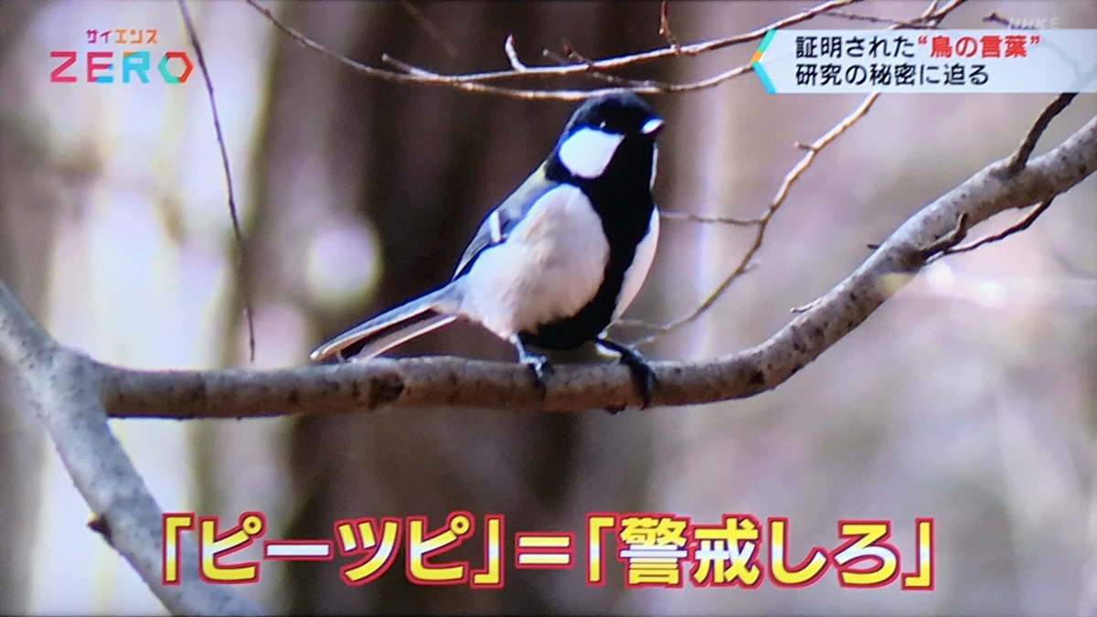 f:id:garadanikki:20211206141943j:plain