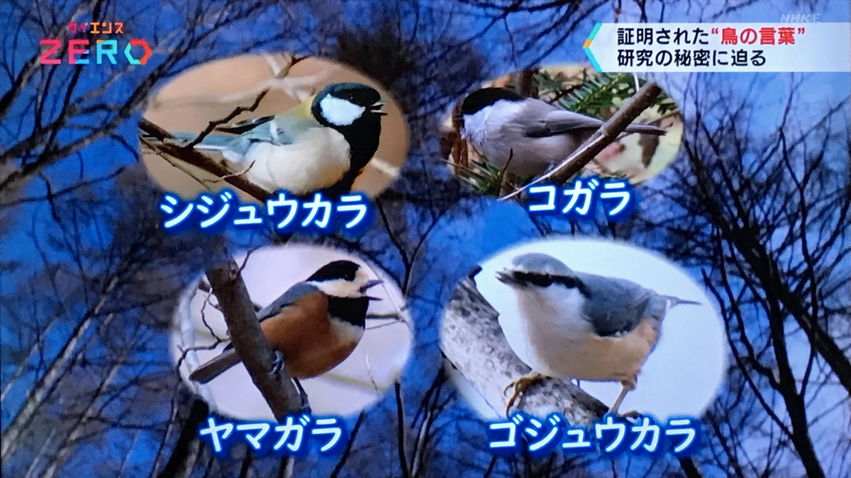 f:id:garadanikki:20211206145744j:plain