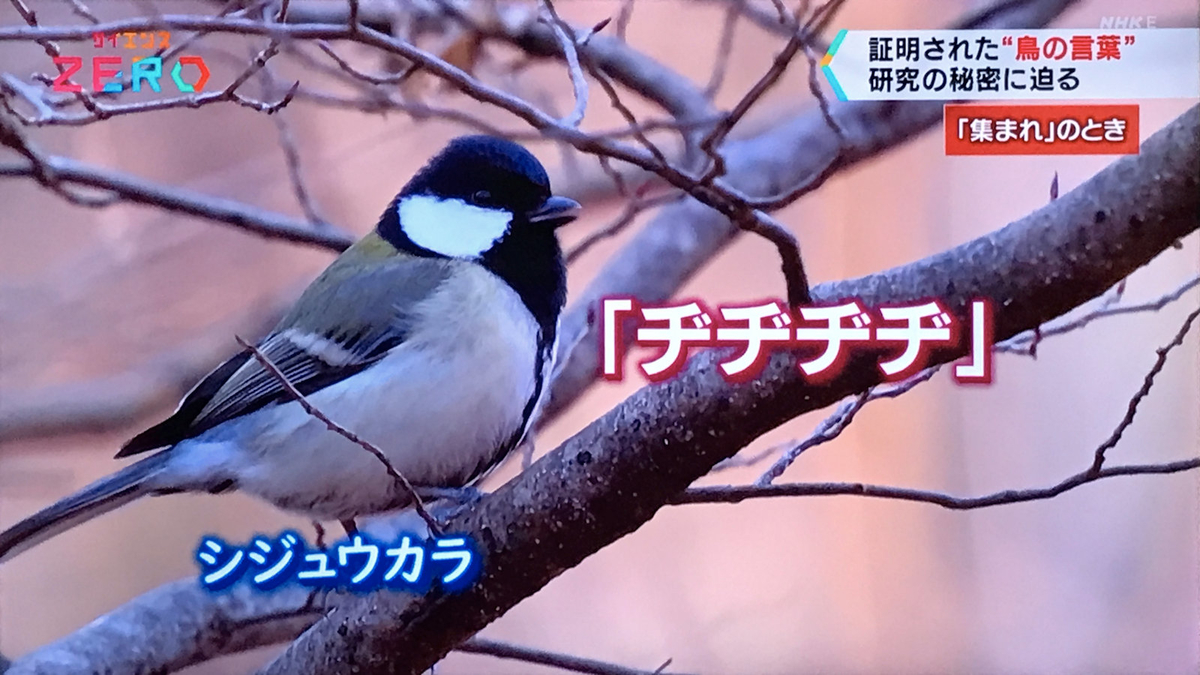 f:id:garadanikki:20211206145910j:plain