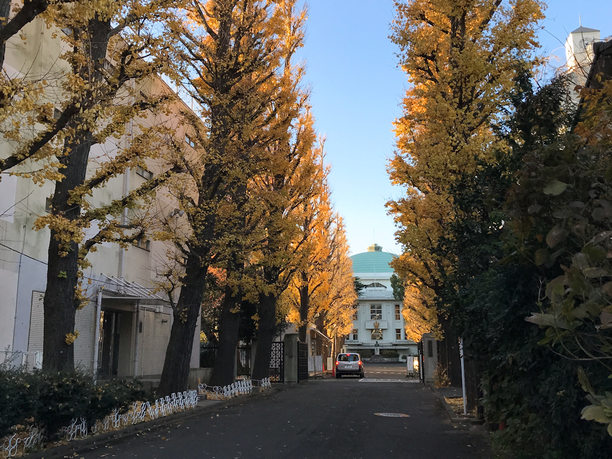 f:id:garadanikki:20211215153703j:plain