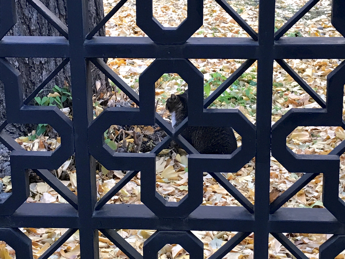 f:id:garadanikki:20211215154018j:plain