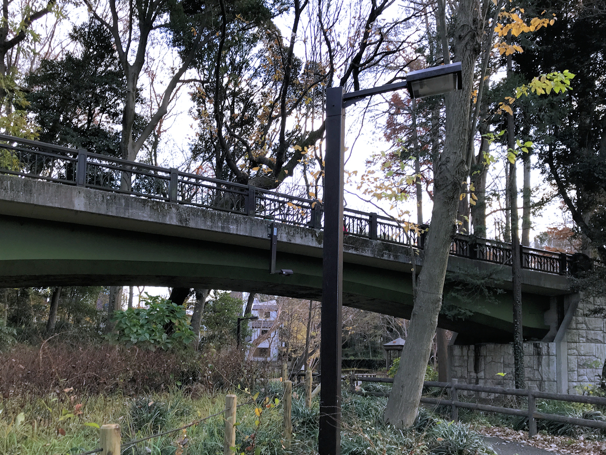 f:id:garadanikki:20211223150506j:plain