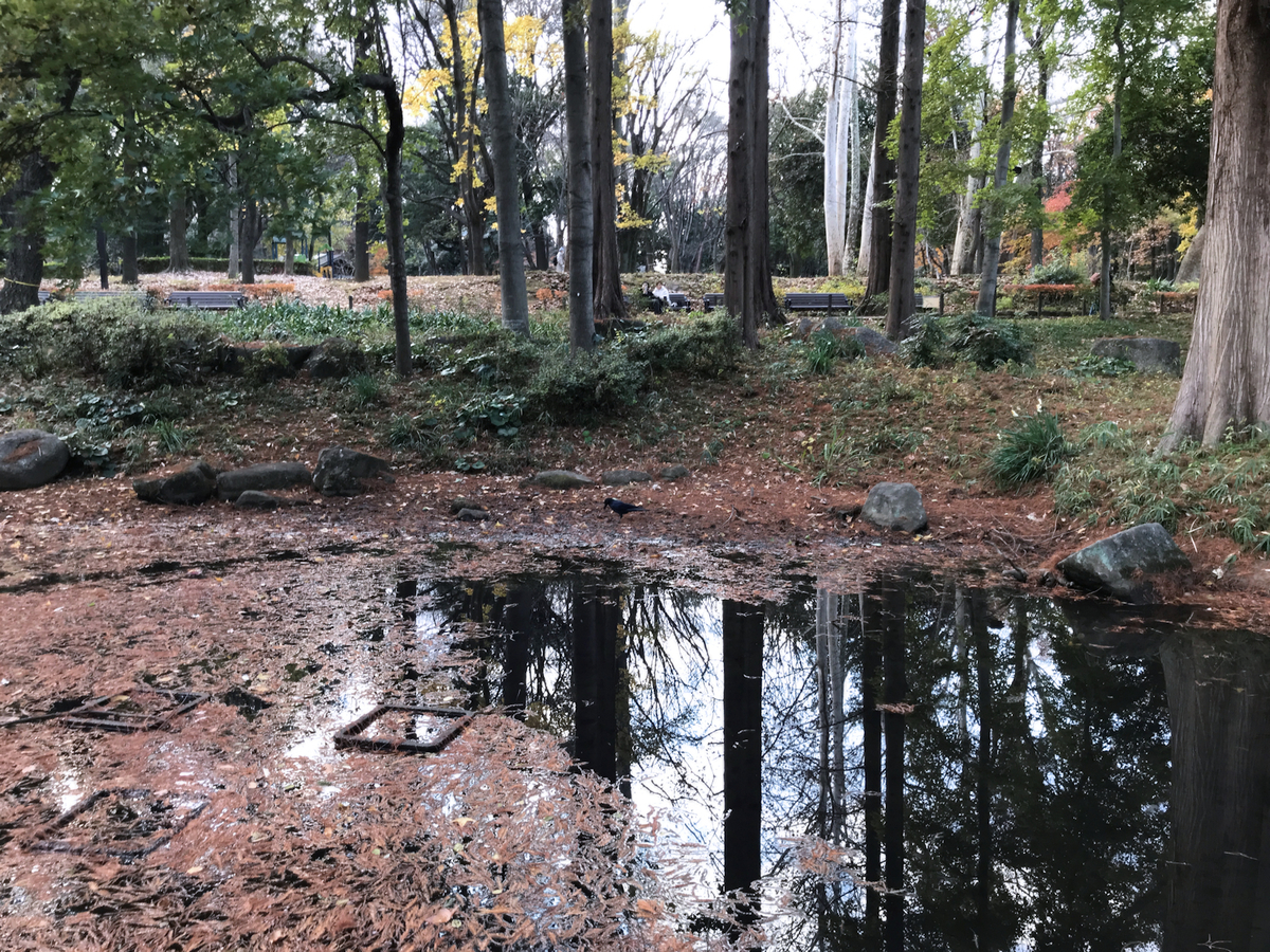 f:id:garadanikki:20211223150642j:plain