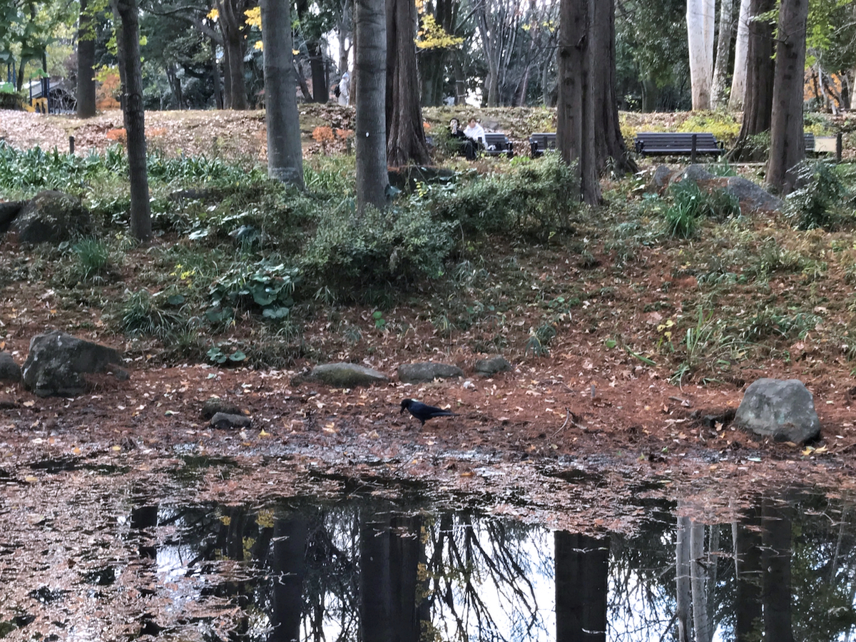 f:id:garadanikki:20211223150643j:plain