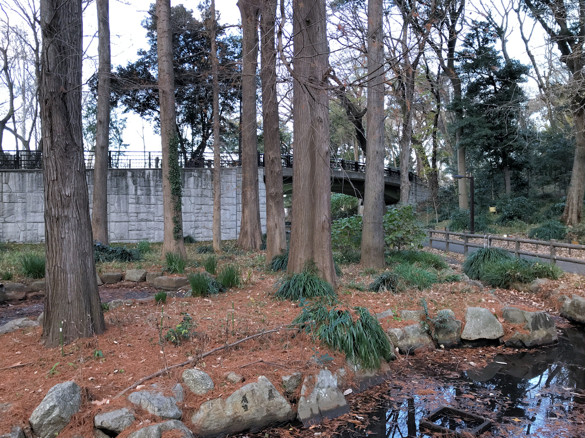 f:id:garadanikki:20211223150651j:plain