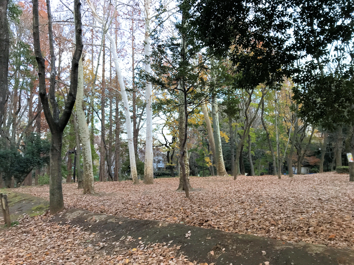 f:id:garadanikki:20211223151313j:plain