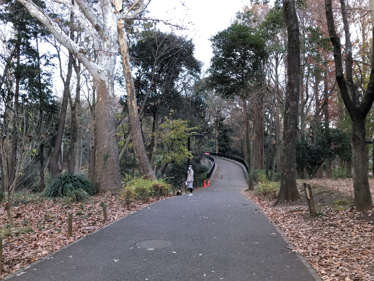 f:id:garadanikki:20211223151316j:plain