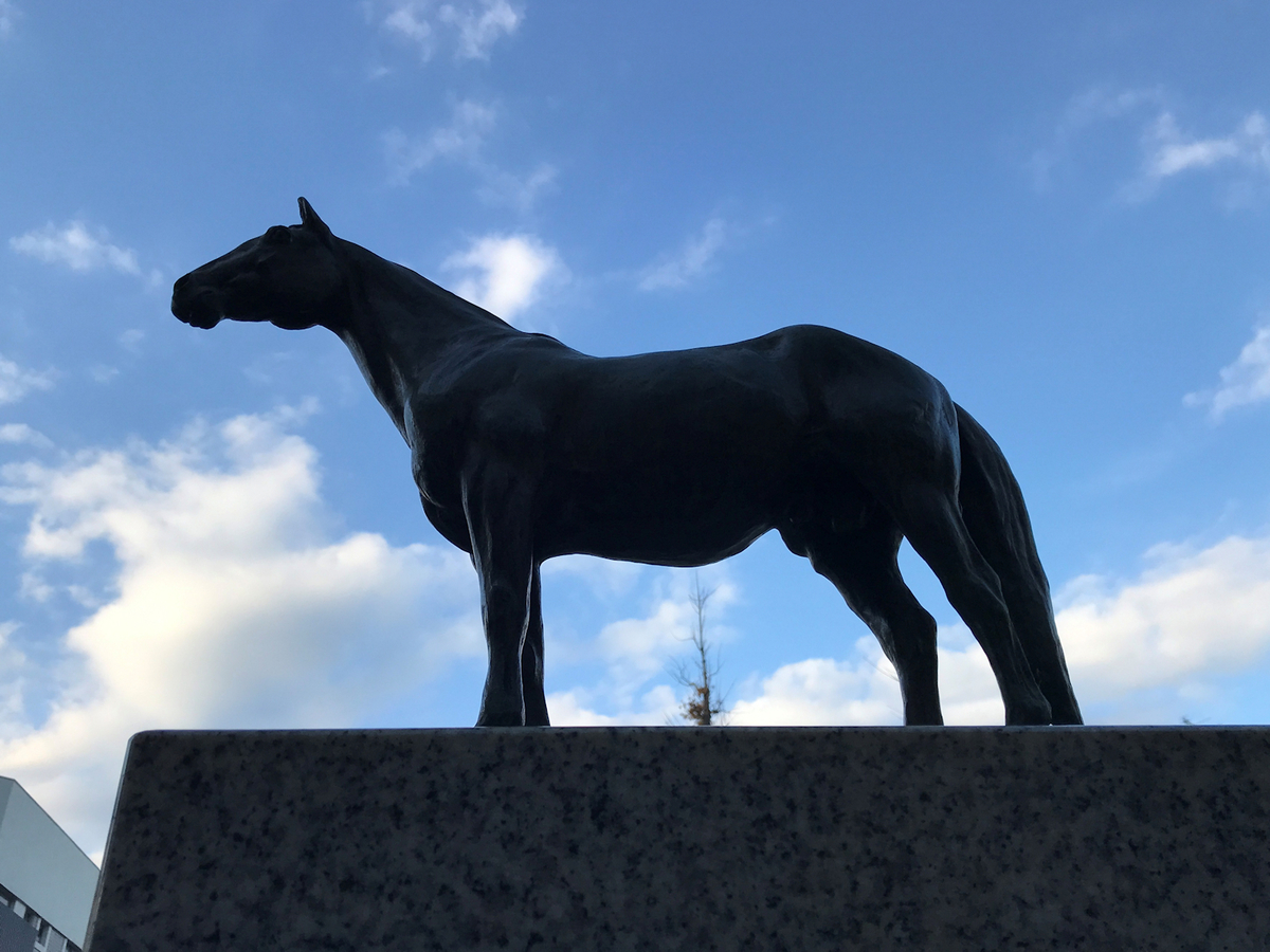 f:id:garadanikki:20211223153710j:plain