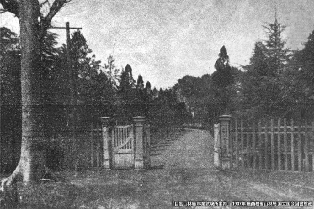 f:id:garadanikki:20211225162305p:plain