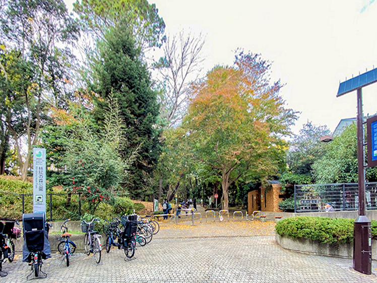 f:id:garadanikki:20211225162310p:plain