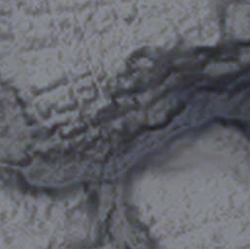 f:id:garadanikki:20211225172331j:plain