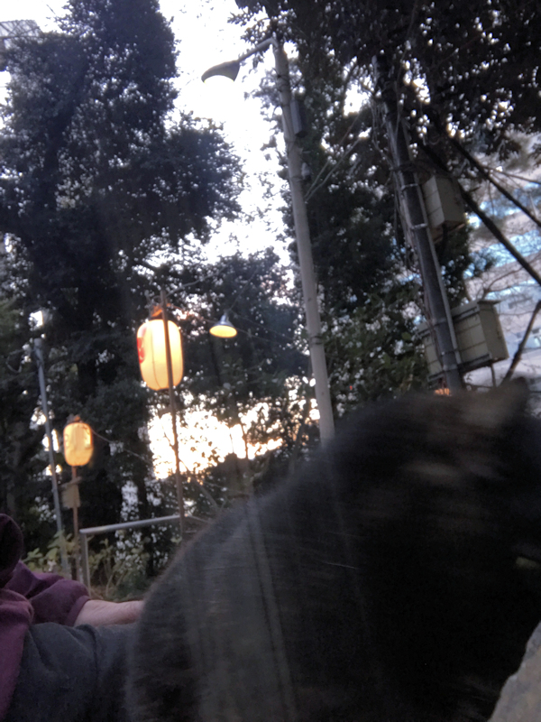 f:id:garadanikki:20220103163338j:plain