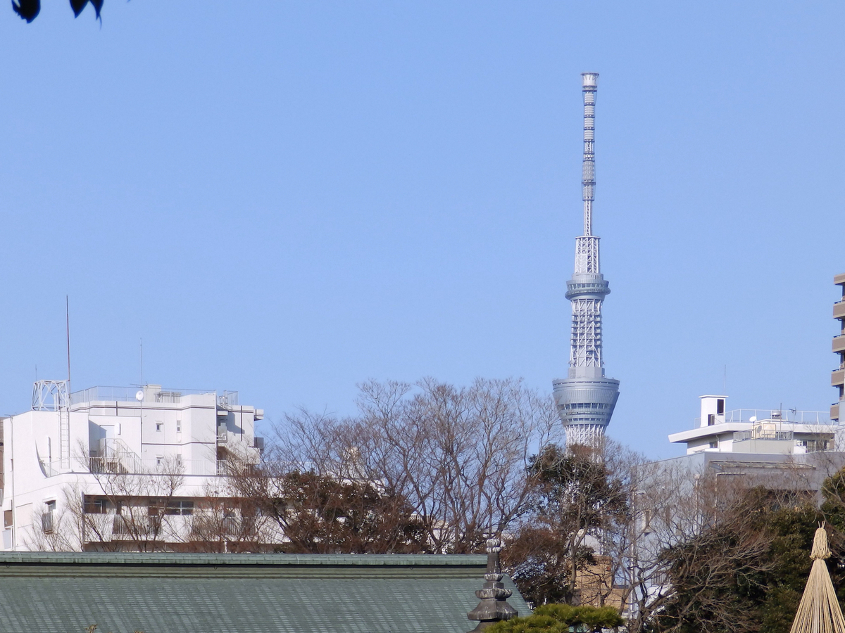 f:id:garadanikki:20220107144433j:plain