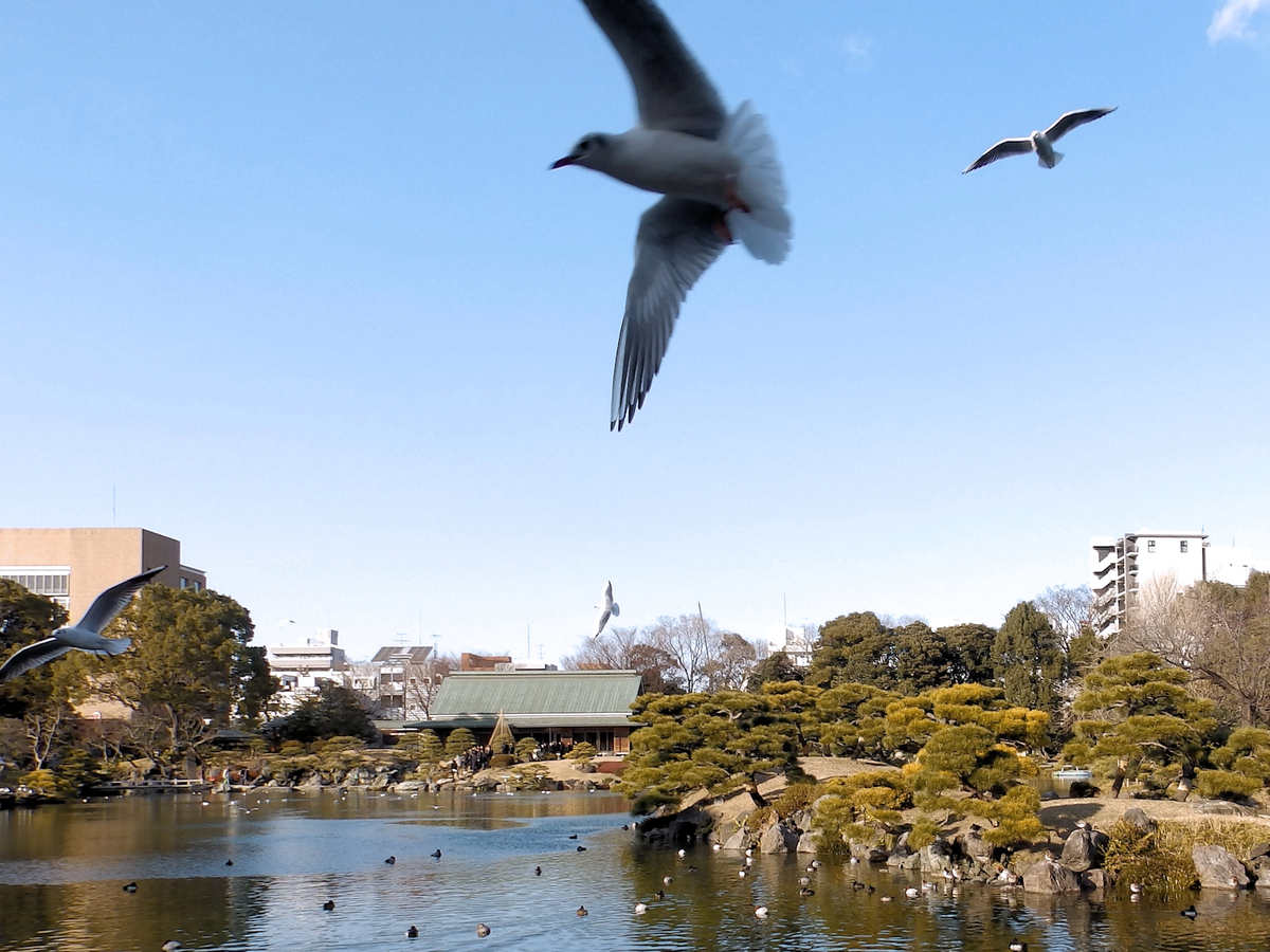 f:id:garadanikki:20220107144520j:plain
