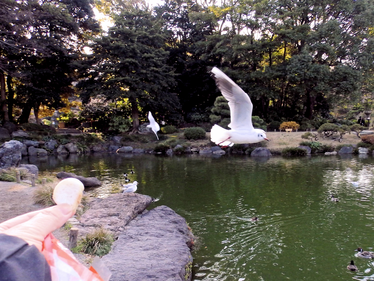 f:id:garadanikki:20220107144530j:plain