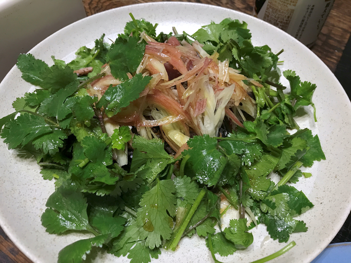 f:id:garadanikki:20220109172613j:plain