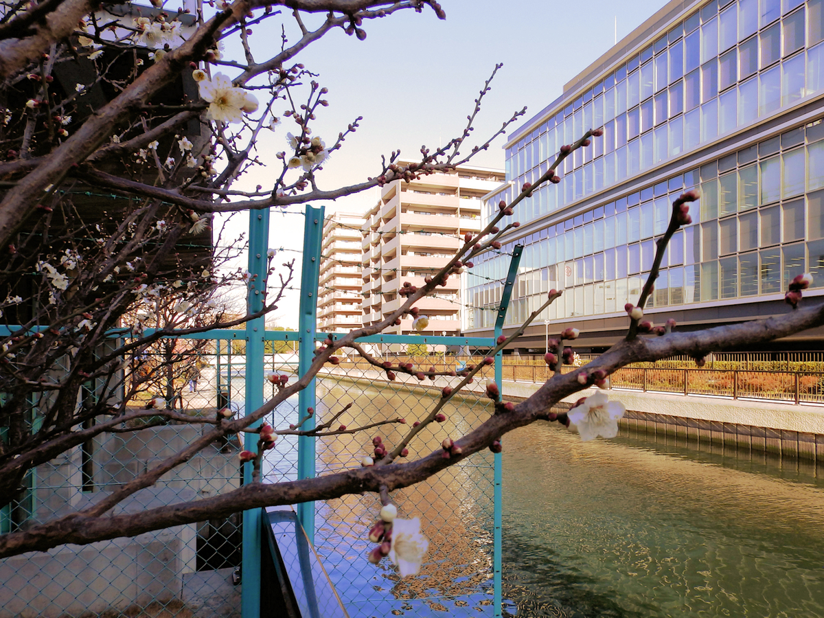 f:id:garadanikki:20220122150841j:plain