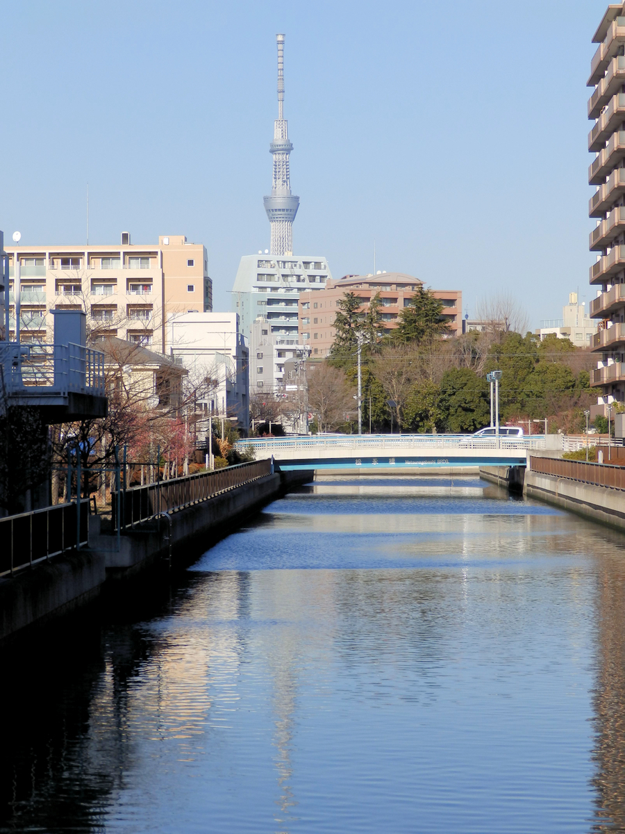 f:id:garadanikki:20220122150847j:plain