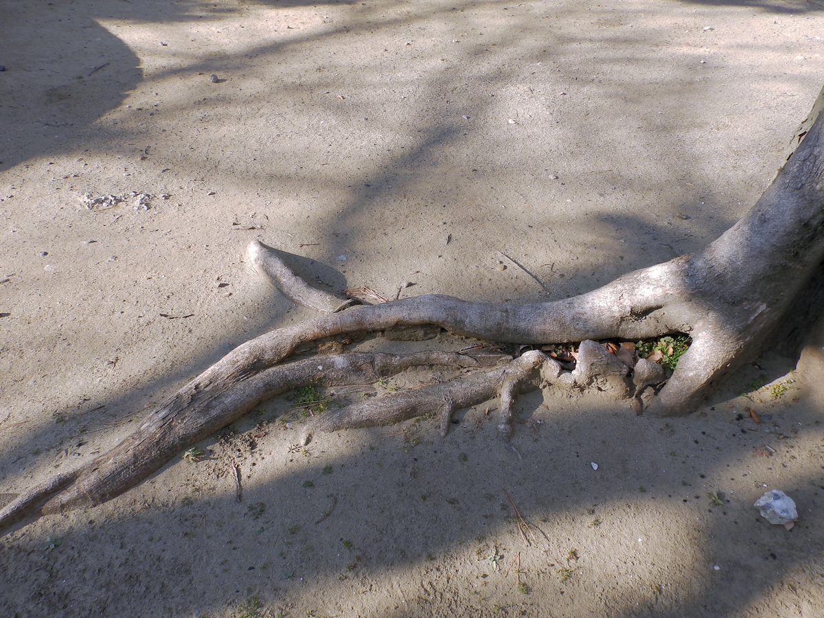 f:id:garadanikki:20220123084426j:plain