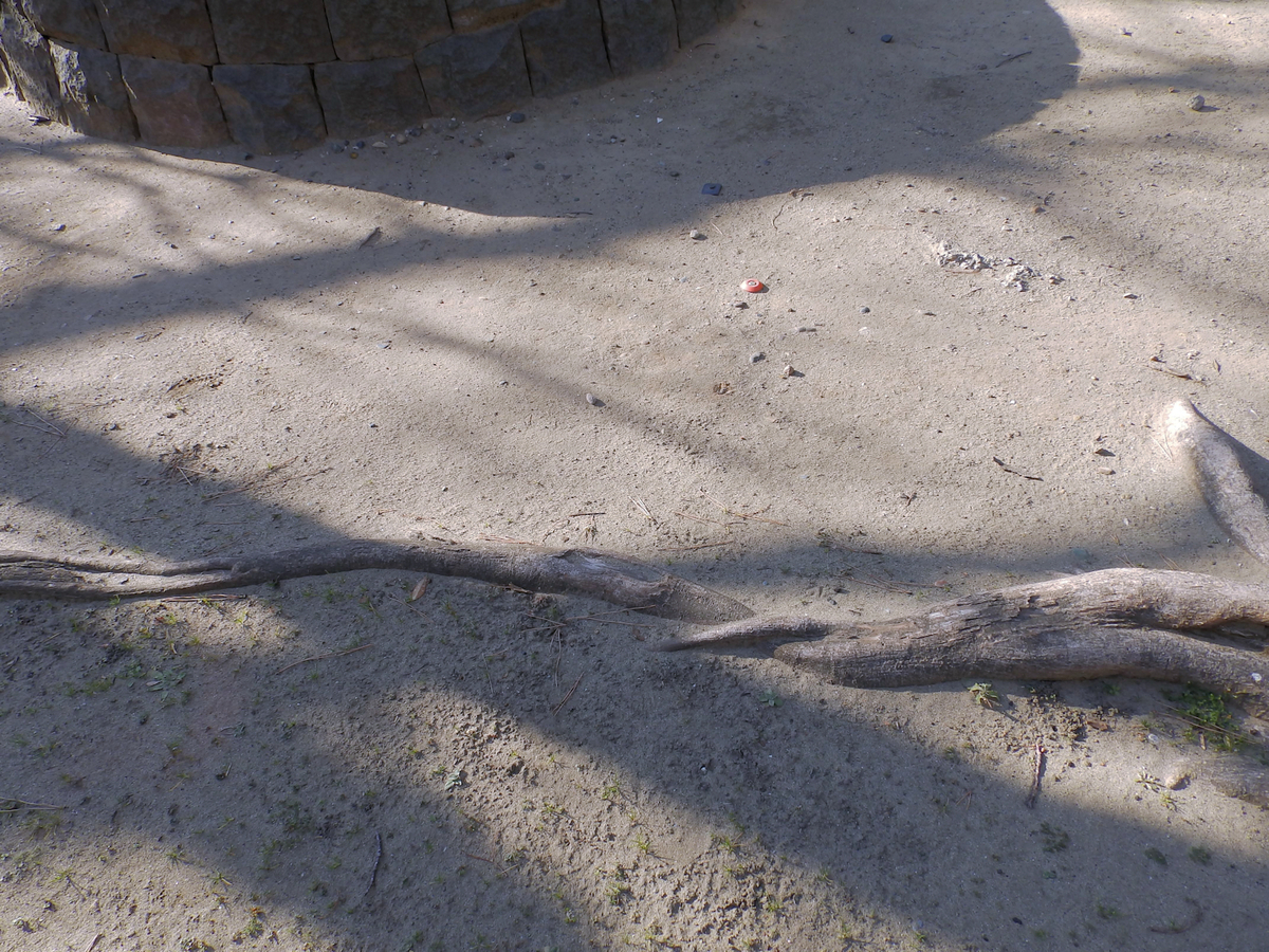 f:id:garadanikki:20220123084432j:plain
