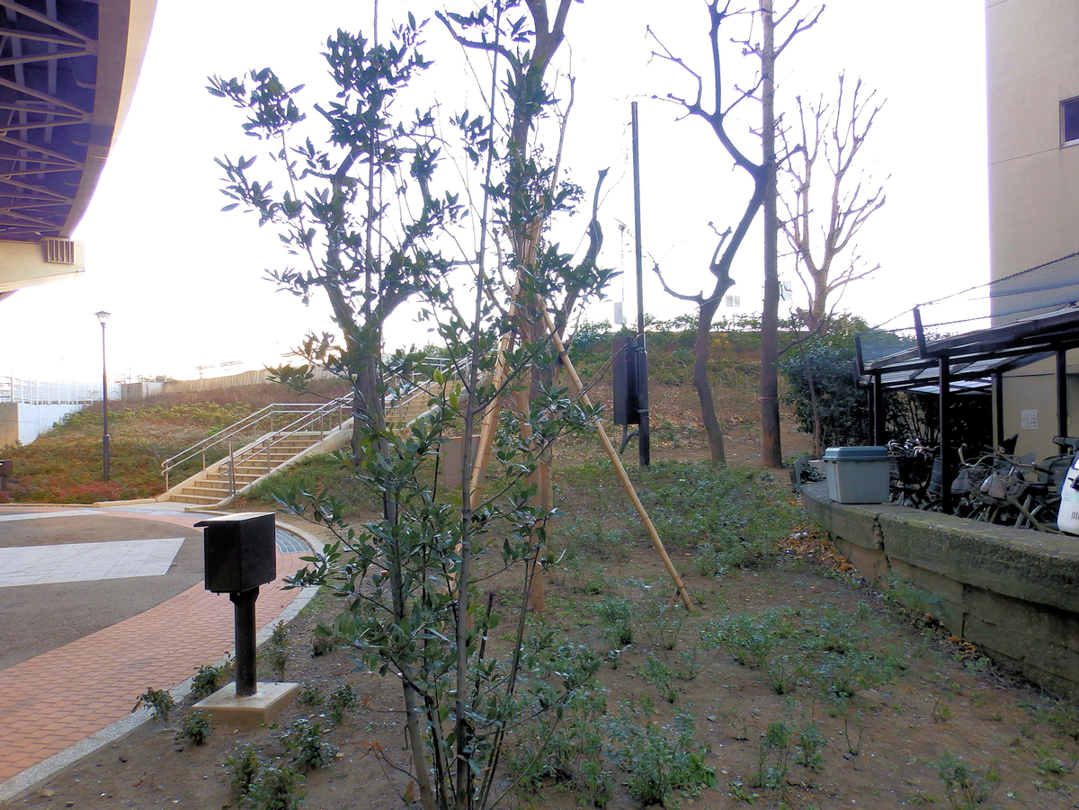 f:id:garadanikki:20220123093843j:plain