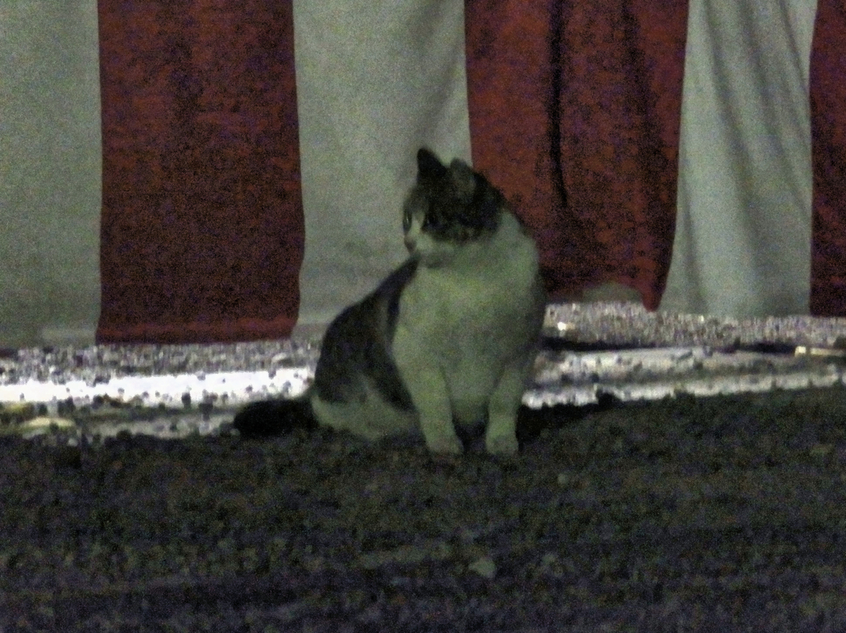 f:id:garadanikki:20220129155743j:plain