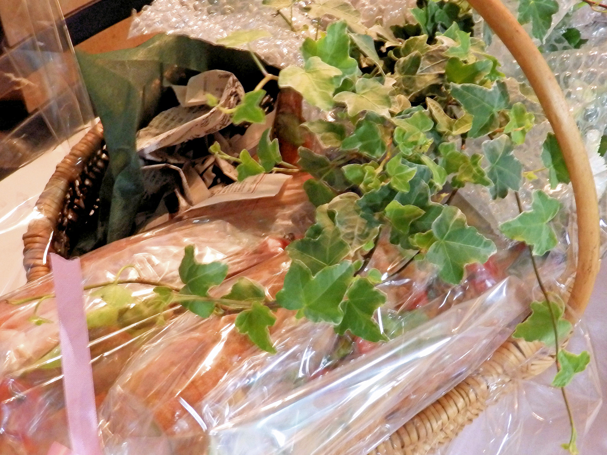 f:id:garadanikki:20220220184425j:plain