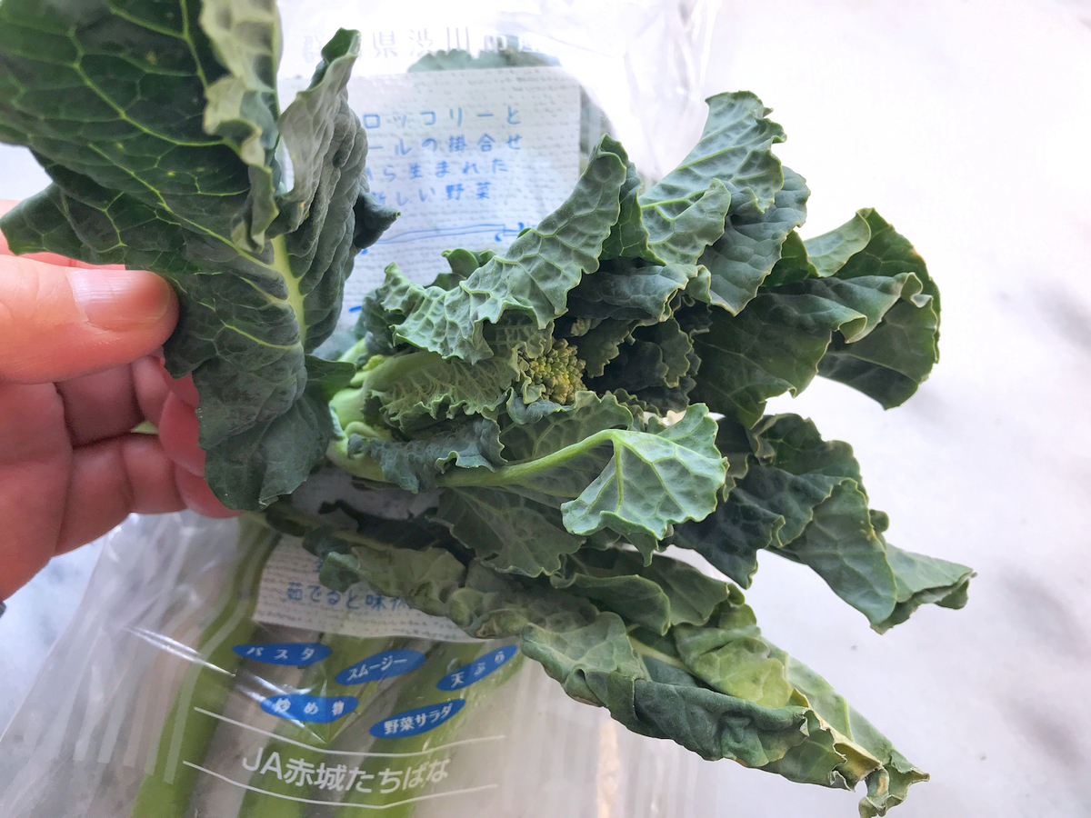 f:id:garadanikki:20220228103026j:plain