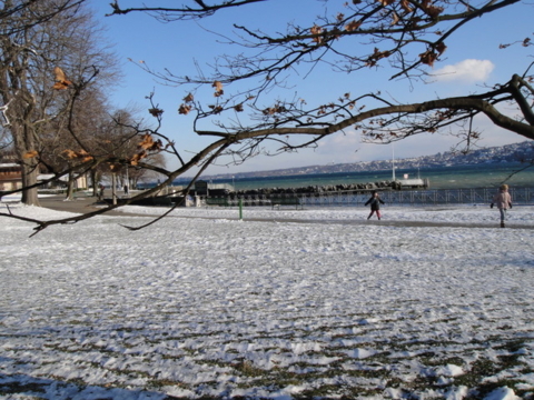 f:id:garagarapon:20101226185347j:image f:id:garagarapon:20101226185347j:image