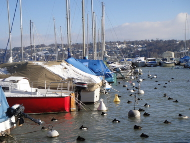 f:id:garagarapon:20101226195225j:image f:id:garagarapon:20101226195225j:image