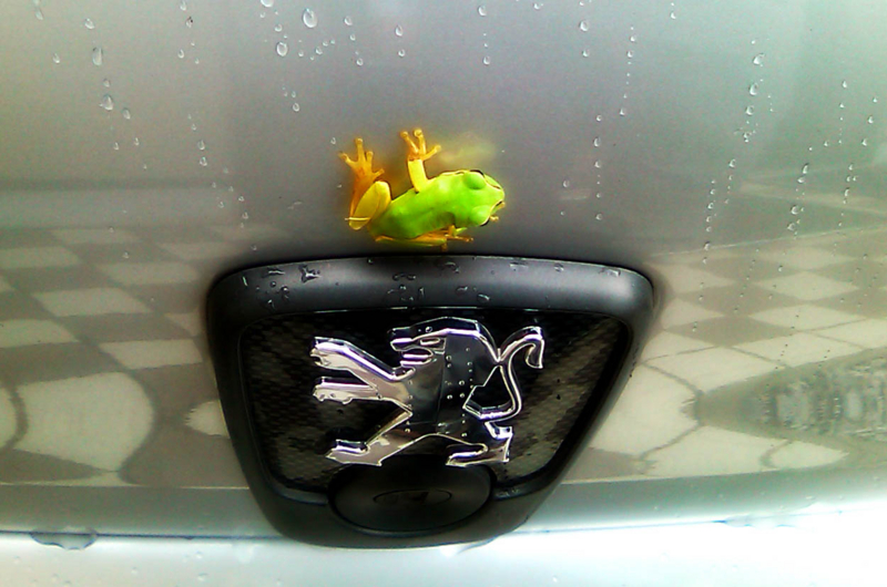 個別「20100806150021」の写真、画像 garagereading's fotolife