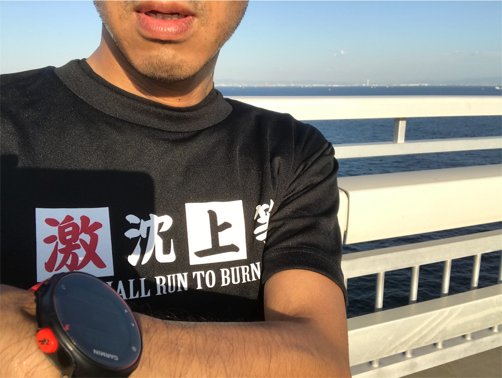 f:id:garajimajon:20171001233755j:image
