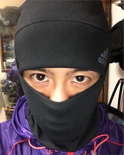 f:id:garajimajon:20180111234540j:image:w300