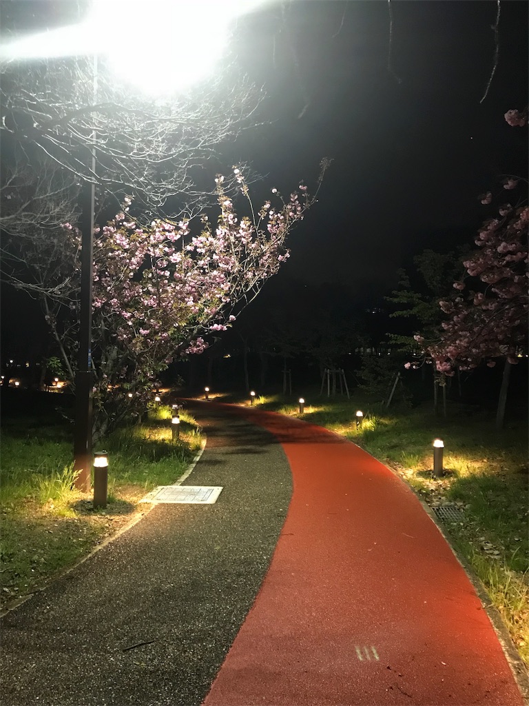 f:id:garajimajon:20180408003230j:image:w250