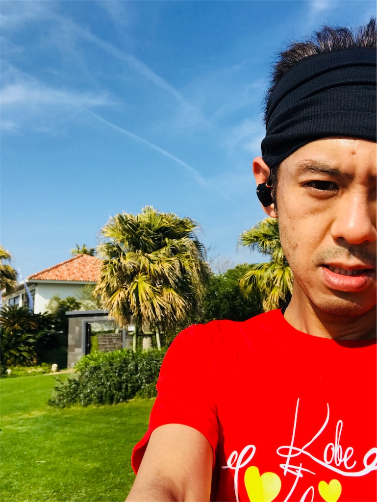 f:id:garajimajon:20180422222017j:image:w250