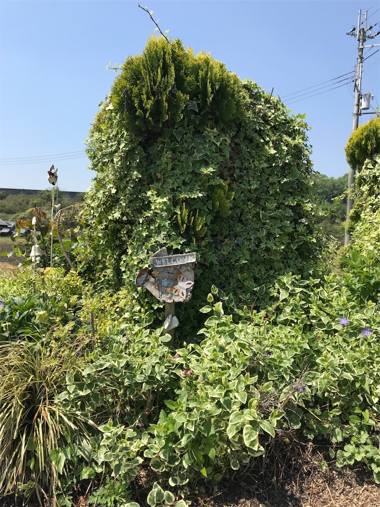 f:id:garajimajon:20180429005925j:image:w250