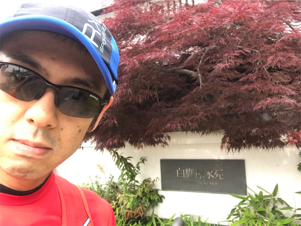 f:id:garajimajon:20180530013355j:image:w300