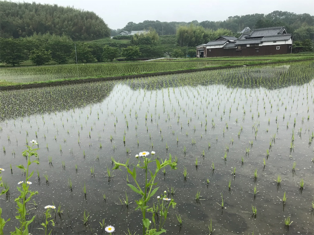 f:id:garajimajon:20180610152027j:image:w300