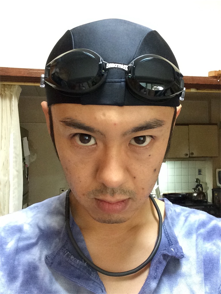 f:id:garajimajon:20180807221913j:image:w200