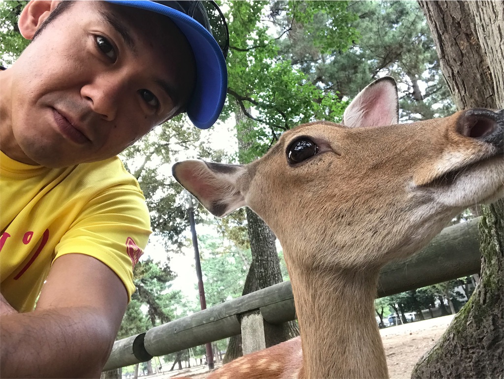 f:id:garajimajon:20180816001950j:image:w300 f:id:garajimajon:20180816001950j:image:w300