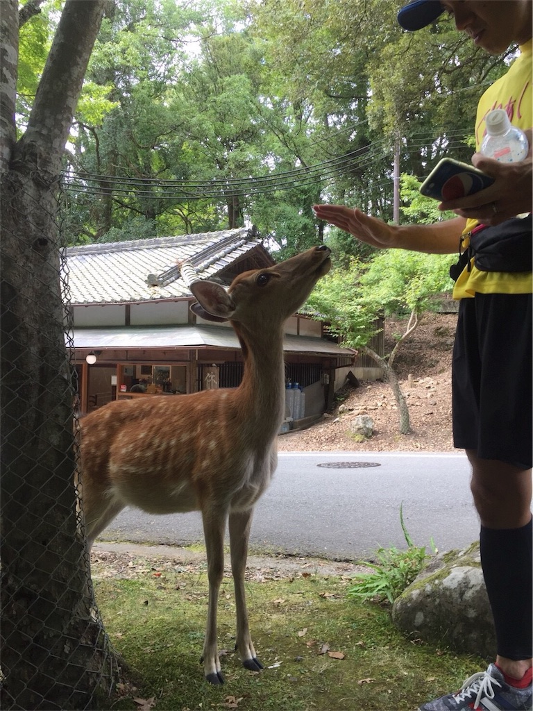 f:id:garajimajon:20180816002921j:image:w200 f:id:garajimajon:20180816002921j:image:w200