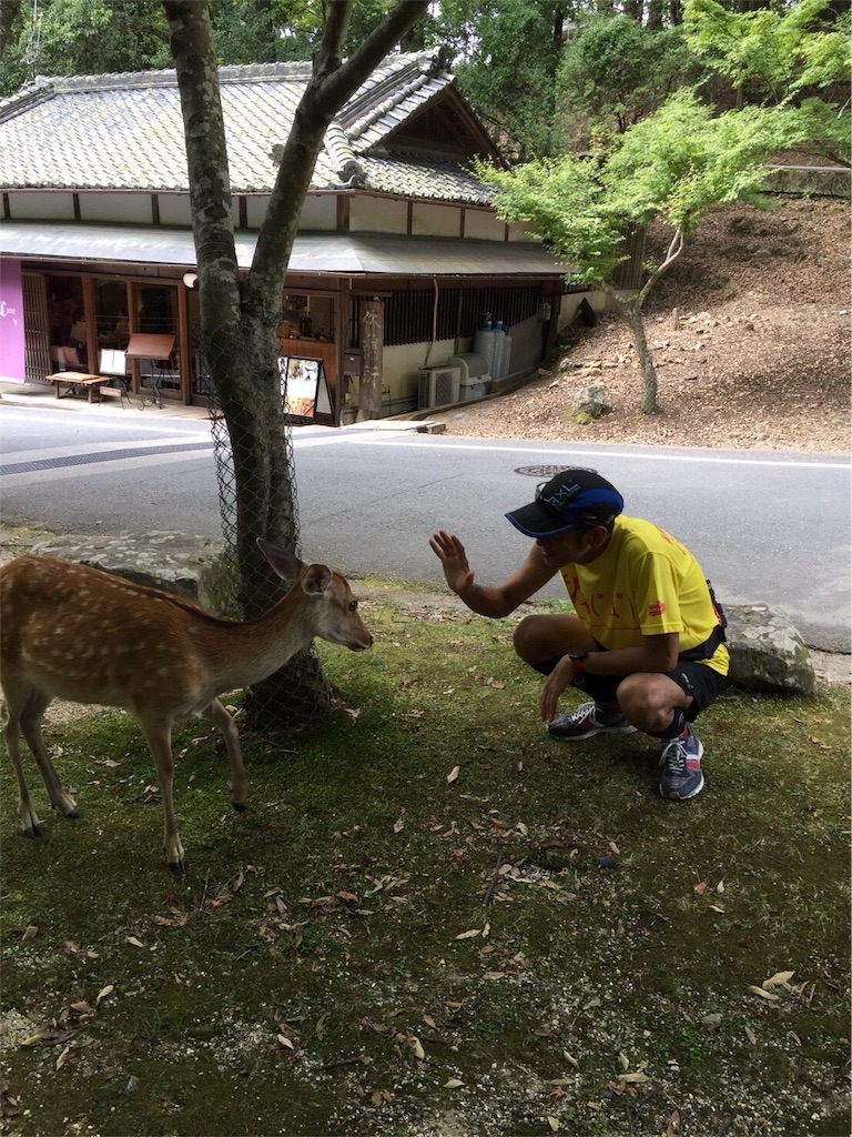 f:id:garajimajon:20180816002929j:image:w200 f:id:garajimajon:20180816002929j:image:w200