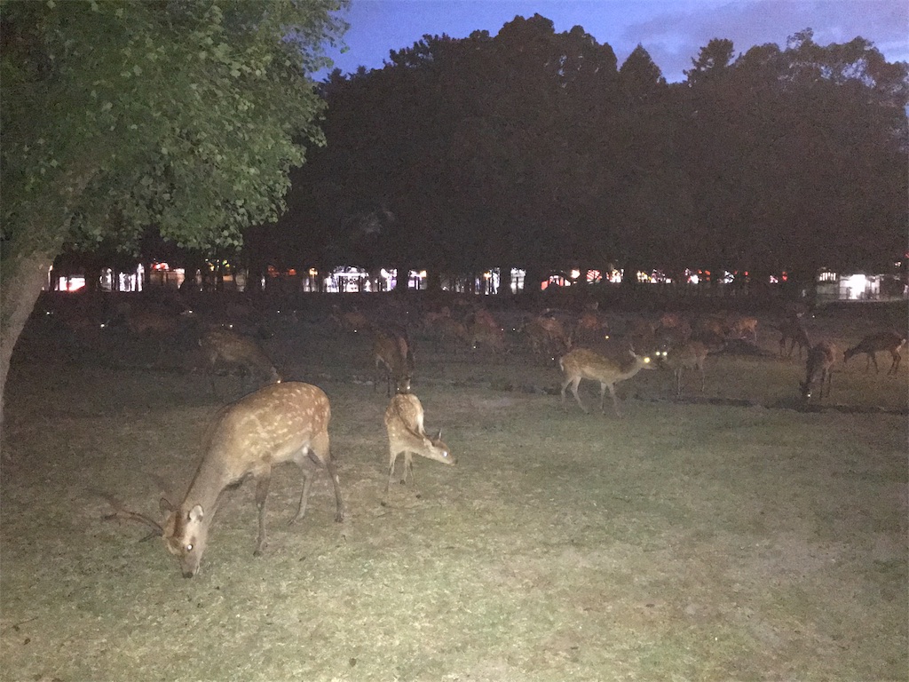 f:id:garajimajon:20180816003502j:image:w300 f:id:garajimajon:20180816003502j:image:w300