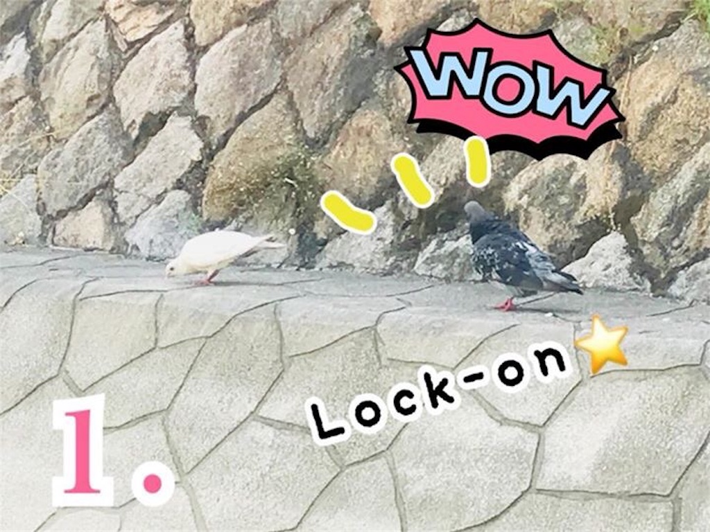 f:id:garajimajon:20180819233650j:image:w250 f:id:garajimajon:20180819233650j:image:w250